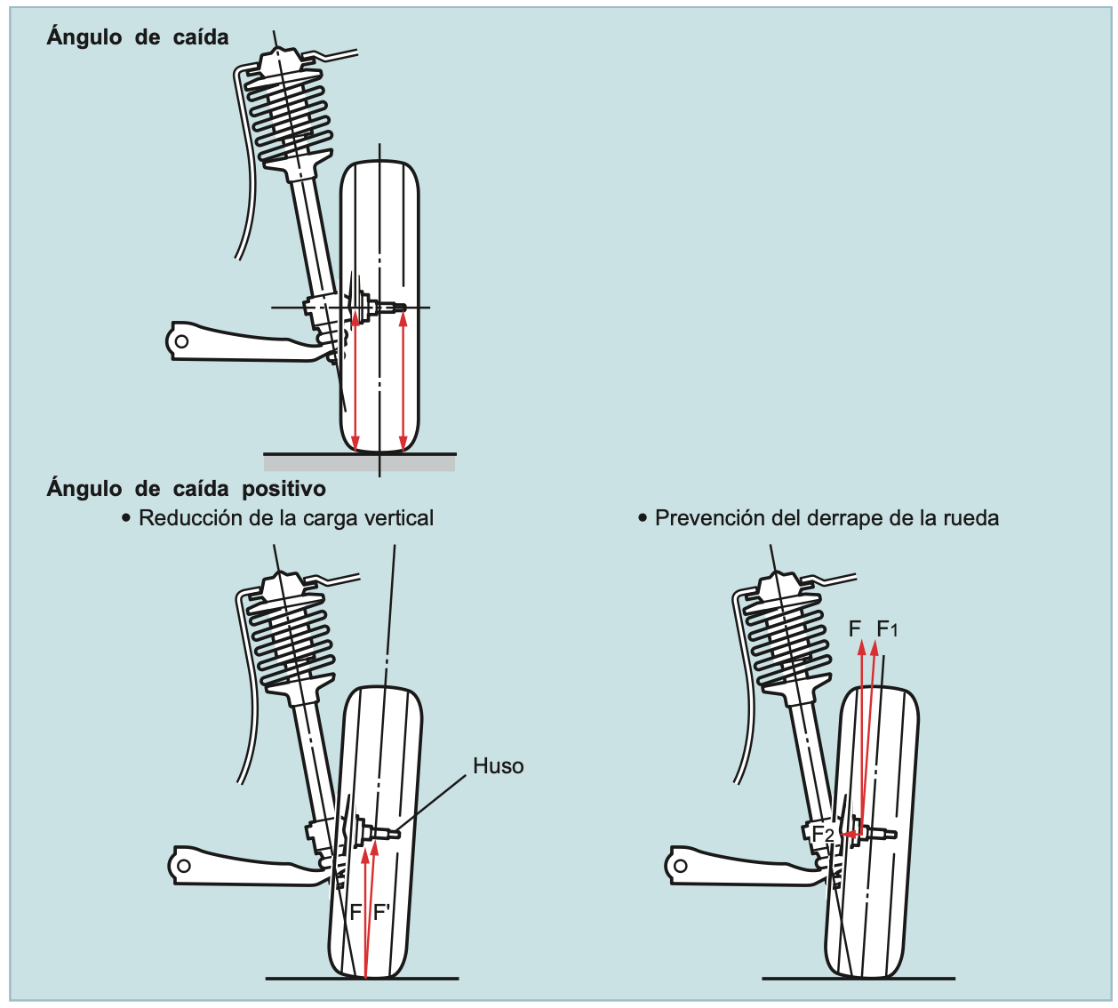 Ángulo de Caída Durante las Curvas