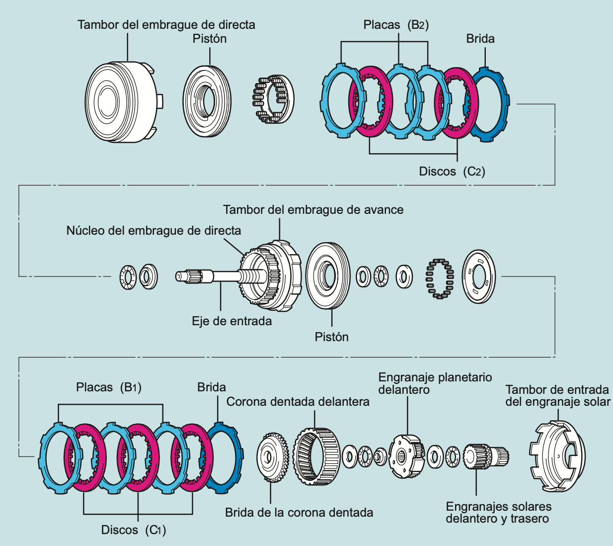 Estructura de los embragues