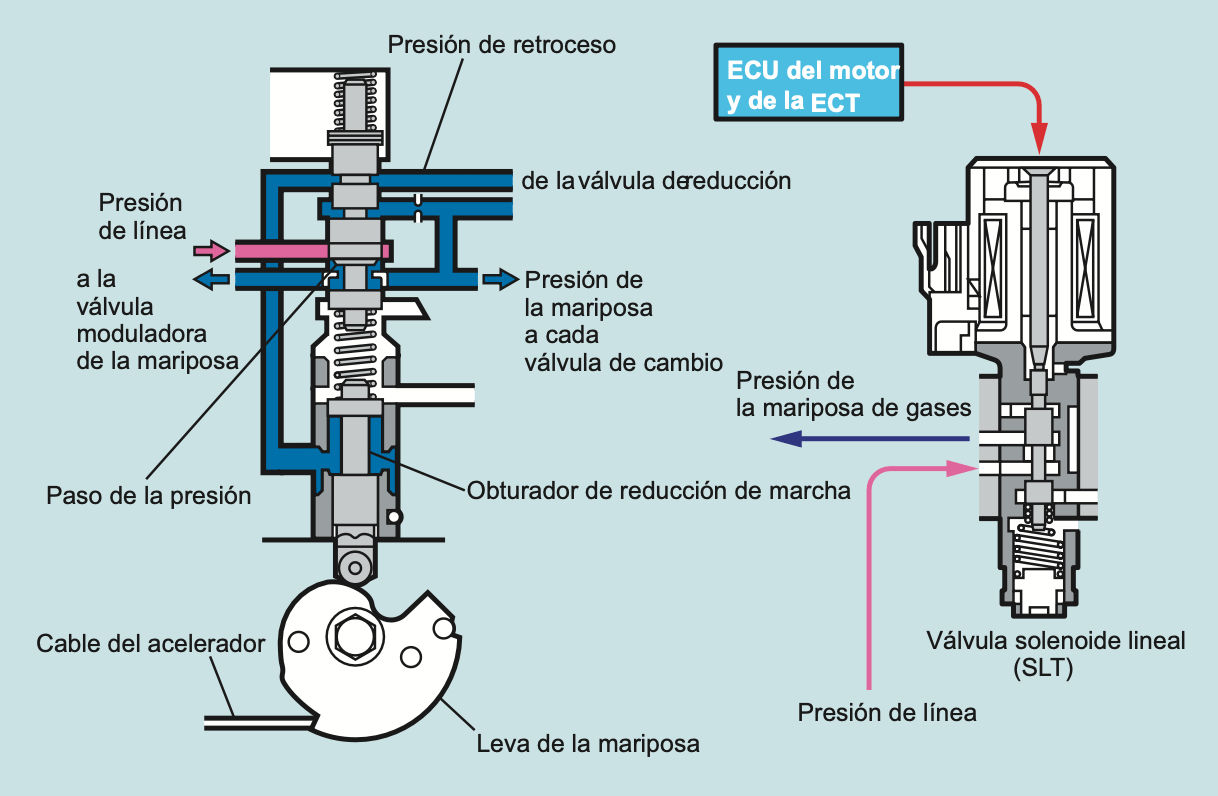 Válvula de mariposa