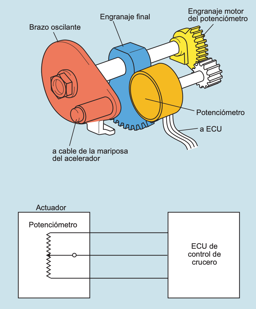 Potenciómetro (algunos modelos)