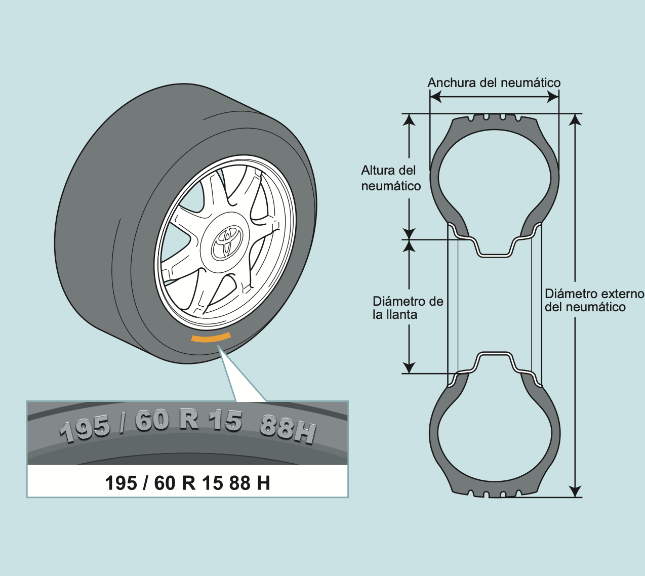 Dimensiones del neumático | Mundo ingenieria